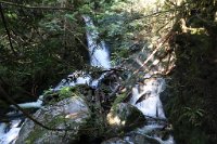  These waterfalls are easy to miss when you drive up the road.